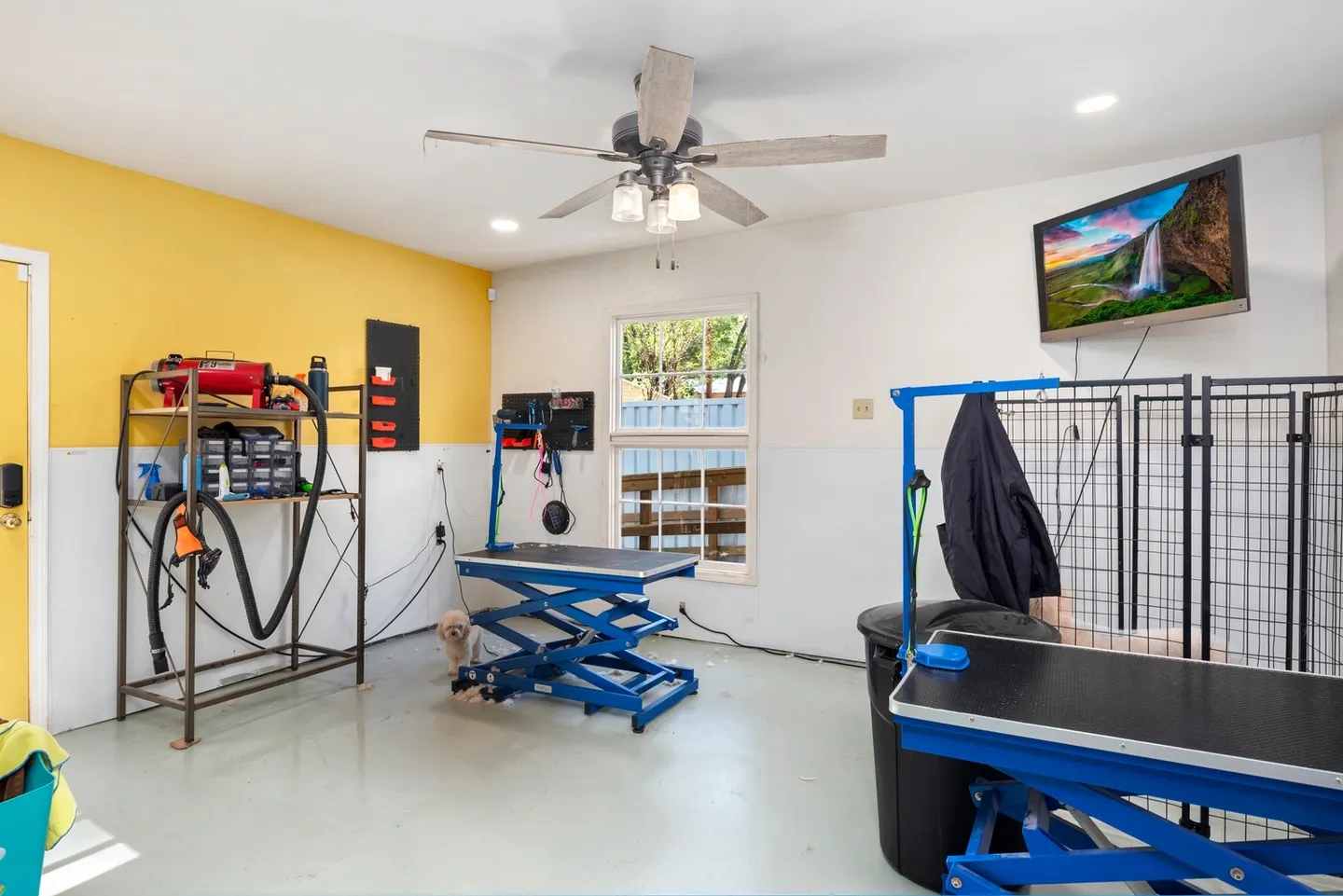 Bright, clean grooming room with equipment and a ceiling fan.