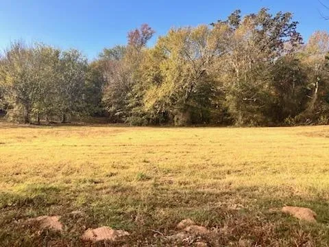 A sunny field with dry grass bordered by trees under a clear blue sky.